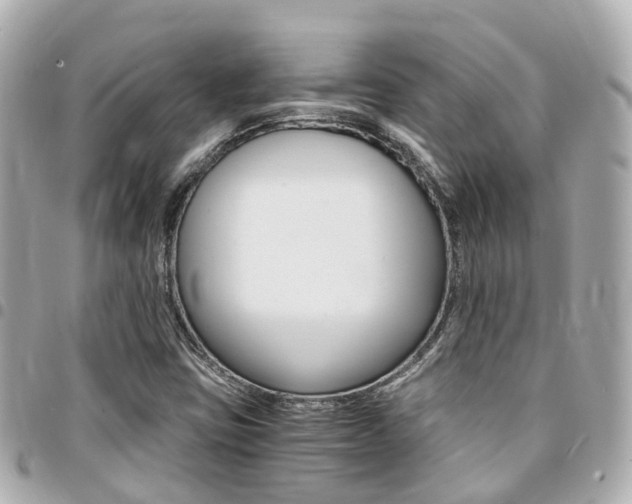 X0000094451403200711081037