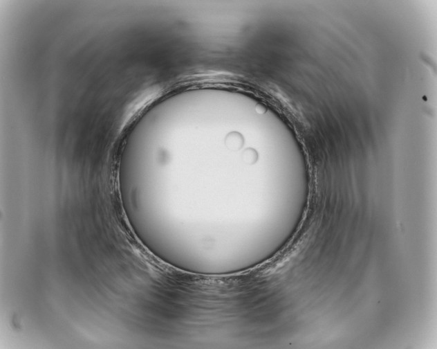 X0000094451405200711081037