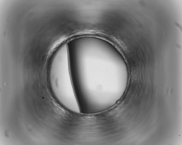 X0000094451406200711081037