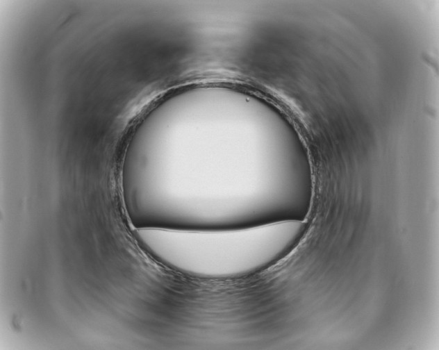 X0000094451407200711081037