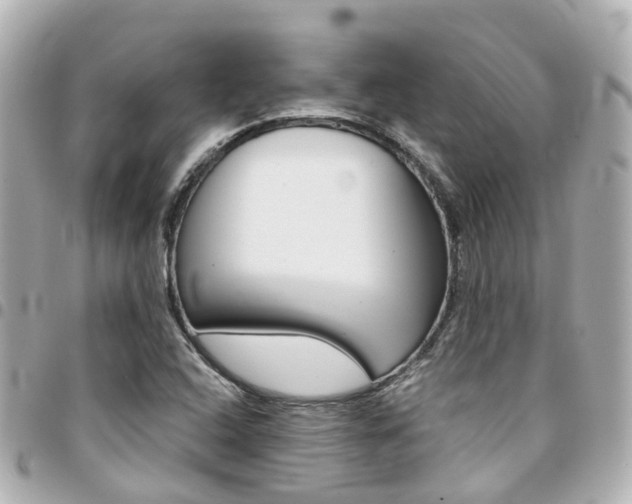 X0000094451408200711081037