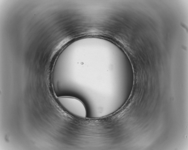 X0000094451410200711081037