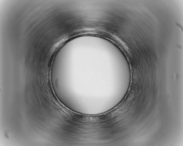 X0000094451411200711081037
