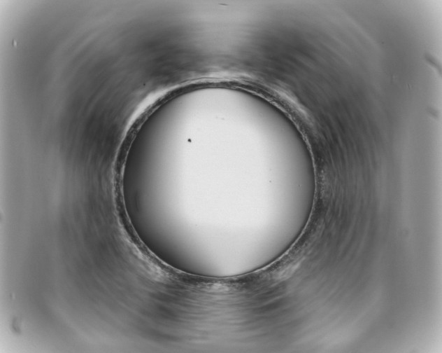 X0000094451412200711081037