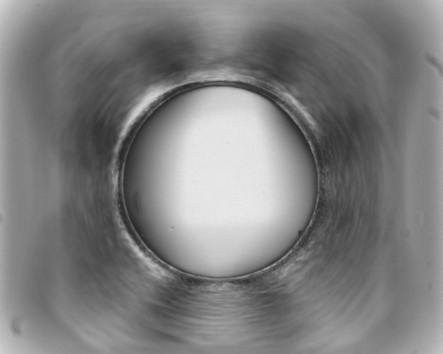 X0000094451416200711081037