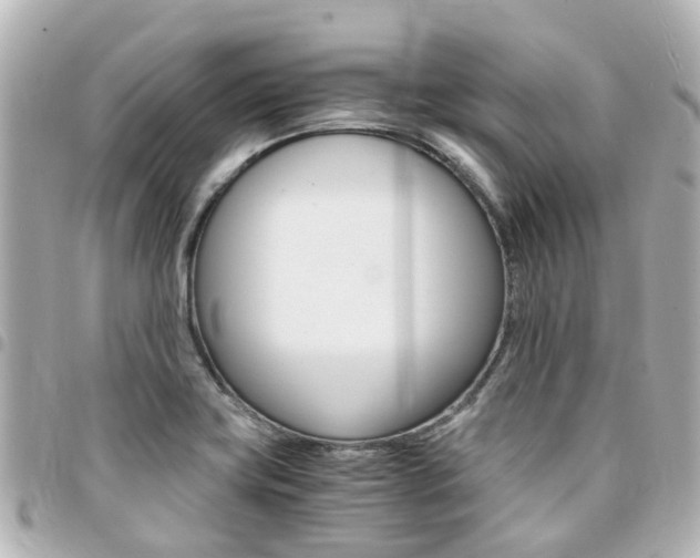X0000094451419200711081037