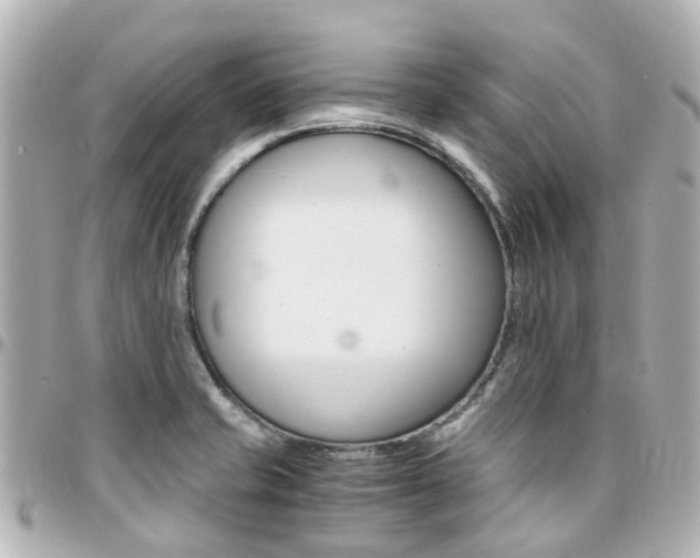 X0000094451421200711081037