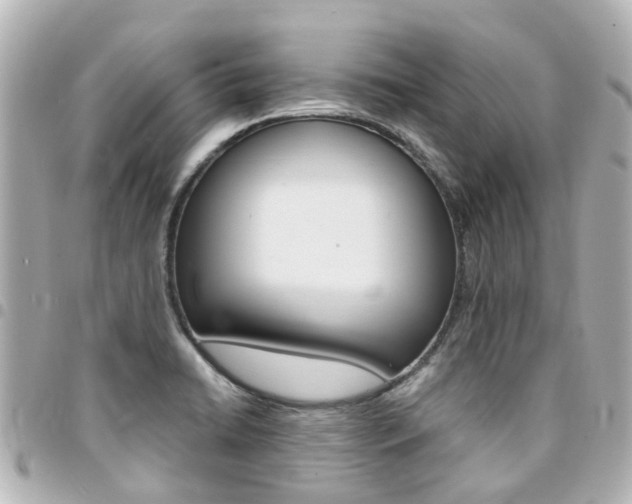 X0000094451422200711081037