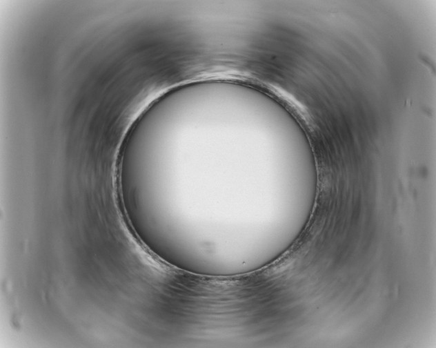 X0000094451423200711081037