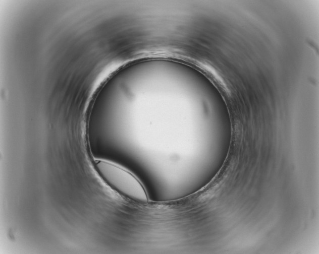 X0000094451424200711081037