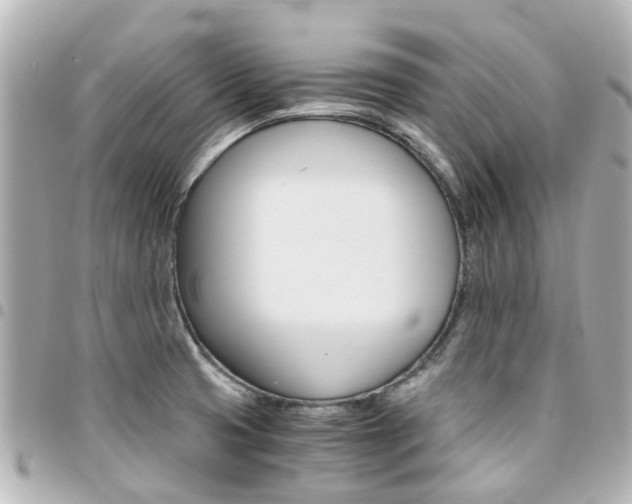 X0000094451425200711081037