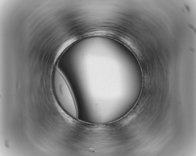 X0000094451426200711081037