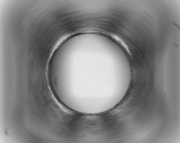 X0000094451429200711081037