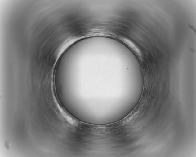 X0000094451431200711081037