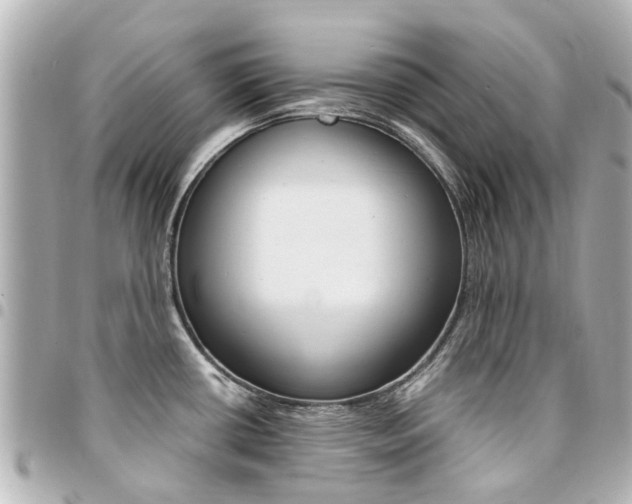 X0000094451434200711081037