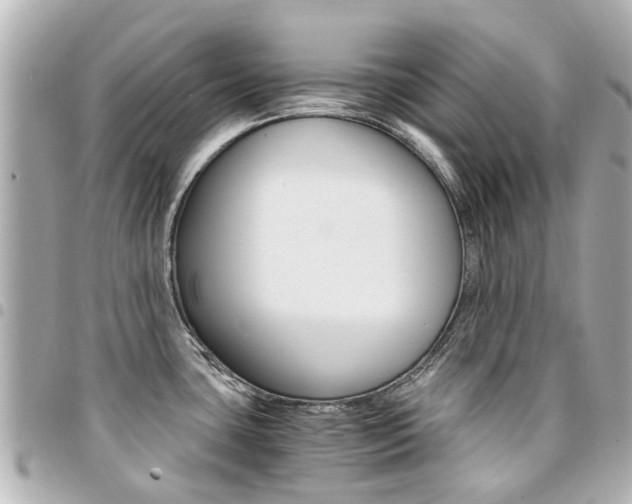 X0000094451435200711081037