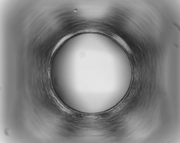 X0000094451436200711081037