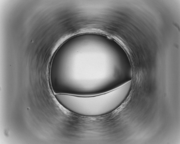 X0000094451438200711081037