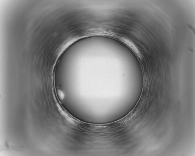 X0000094451439200711081037
