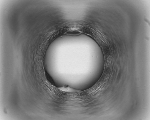 X0000094451441200711081037