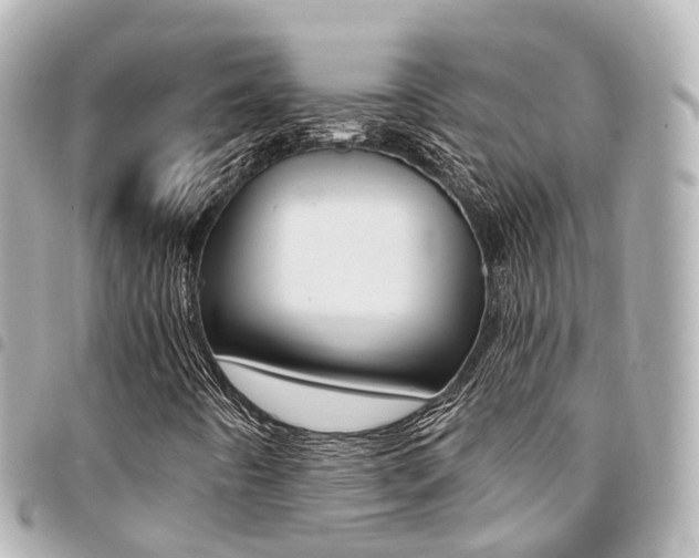 X0000094451442200711081037