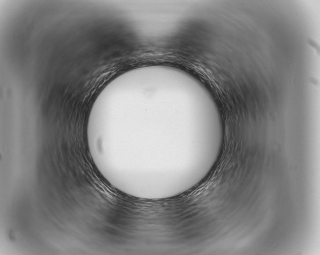 X0000094451444200711081037