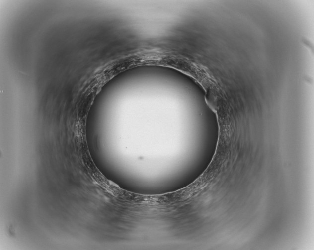 X0000094451445200711081037