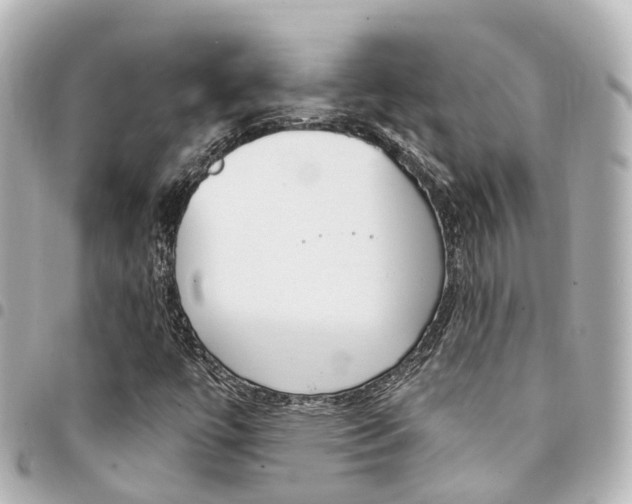 X0000094451447200711081037