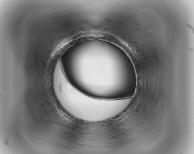 X0000094451448200711081037