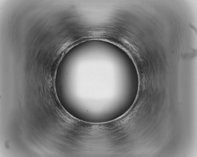 X0000094451449200711081037