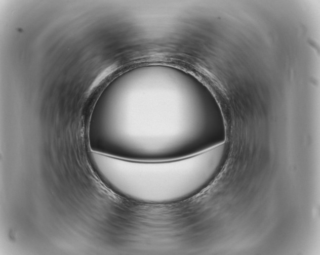 X0000094451450200711081037