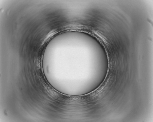 X0000094451451200711081037