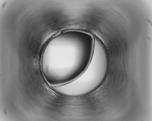 X0000094451452200711081037