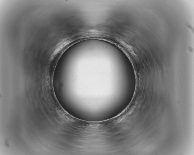 X0000094451453200711081037