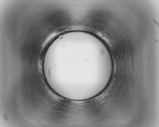 X0000094451454200711081037