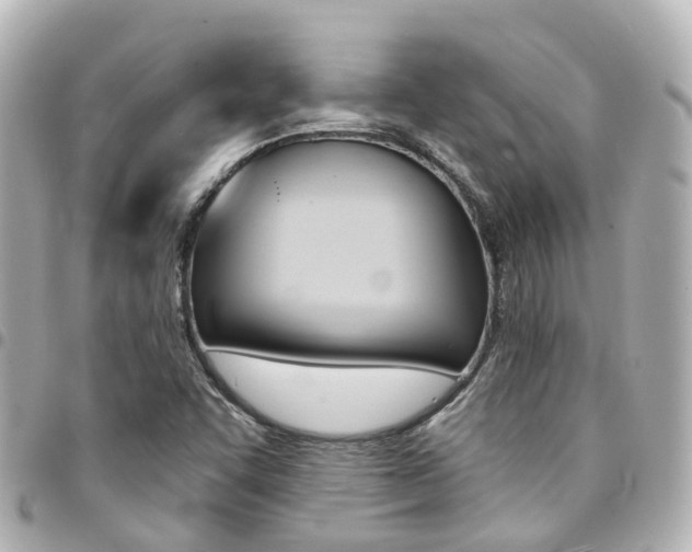 X0000094451455200711081037
