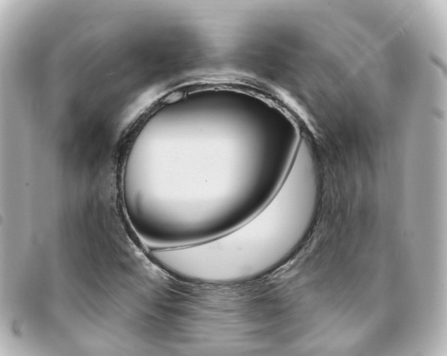 X0000094451456200711081037