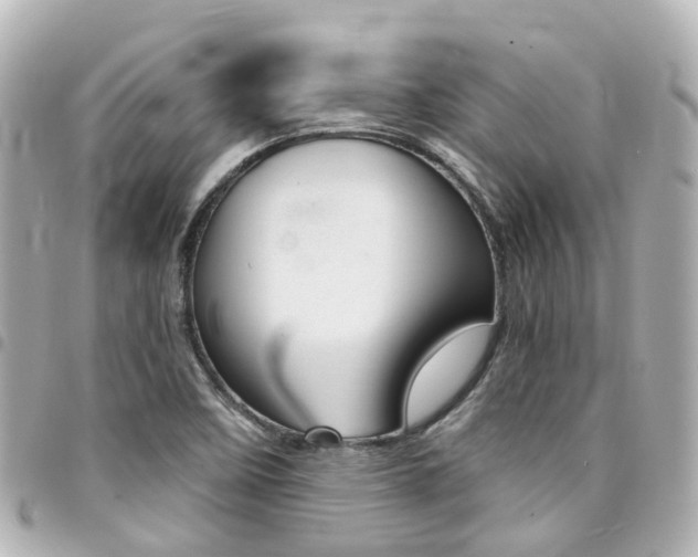 X0000094451458200711081037