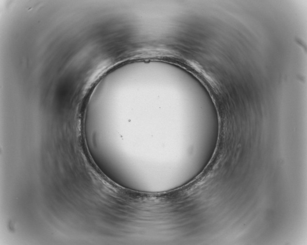 X0000094451459200711081037