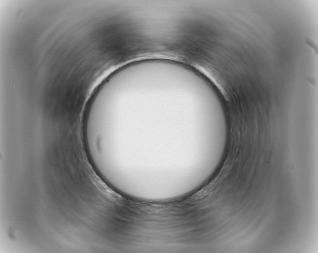 X0000094451460200711081037