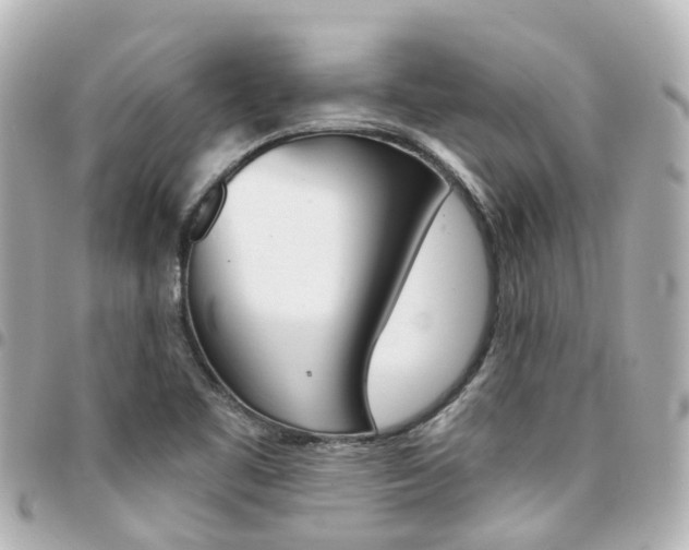X0000094451461200711081037