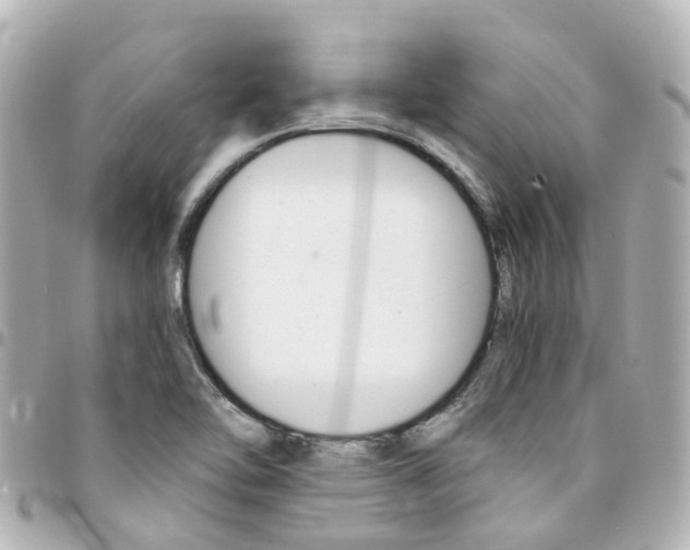 X0000094451462200711081037