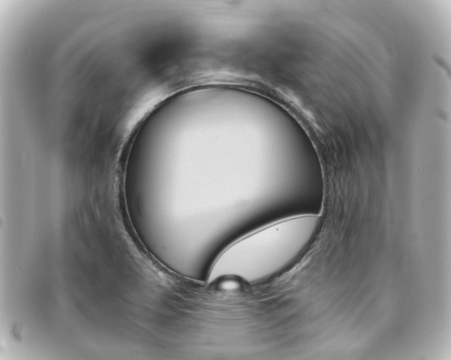 X0000094451463200711081036