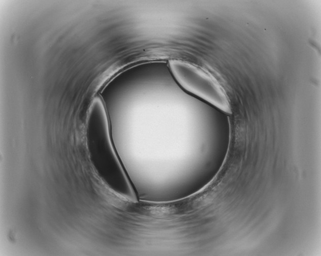 X0000094451465200711081036