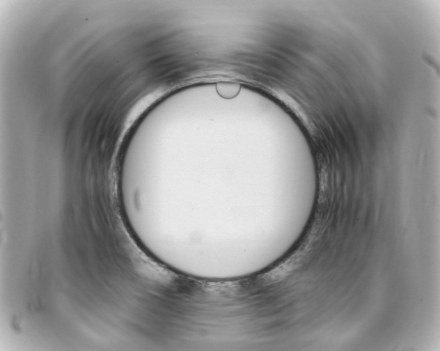 X0000094451466200711081036