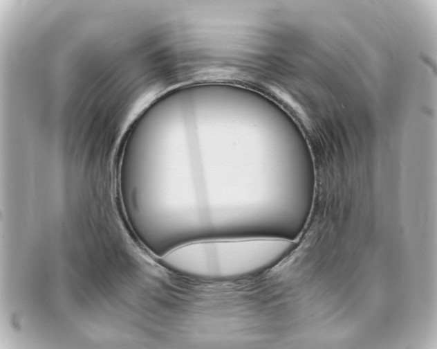 X0000094451467200711081036