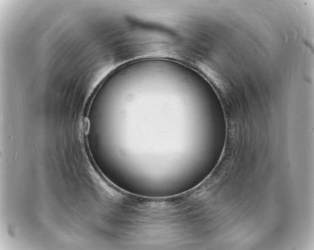 X0000094451468200711081036