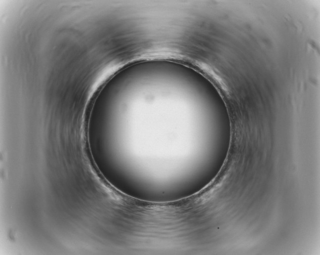 X0000094451469200711081036