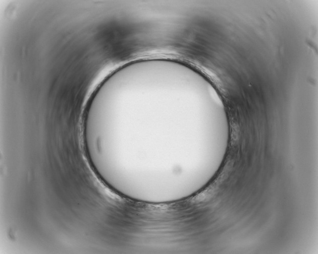X0000094451470200711081036