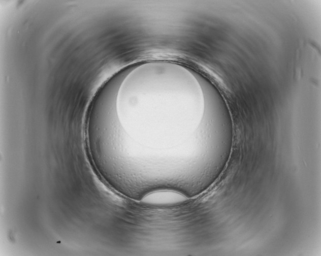 X0000094451471200711081036